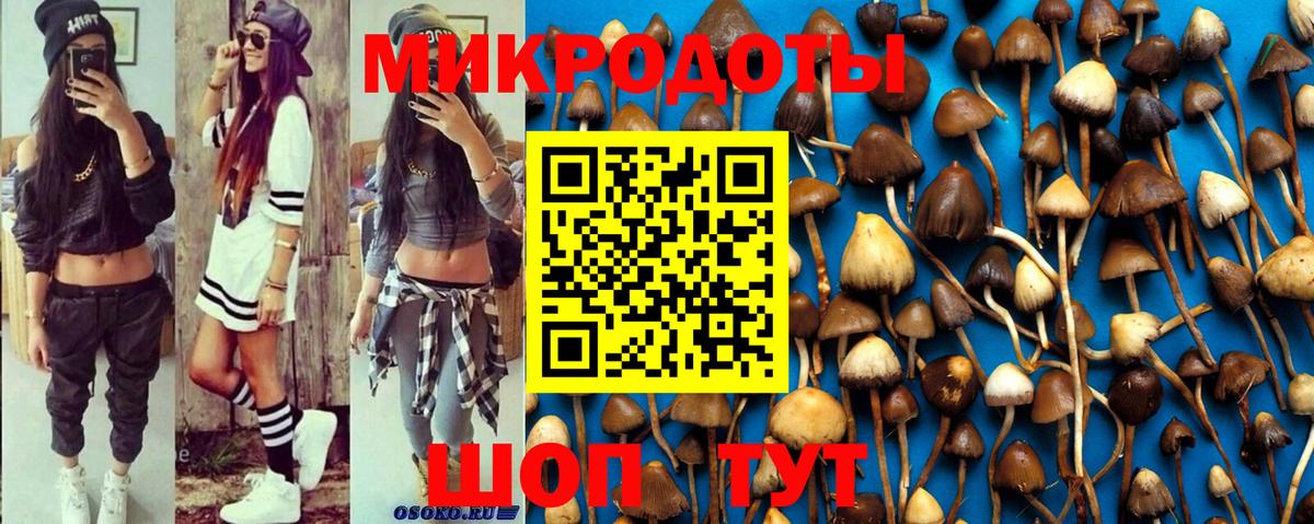 Электросталь  Галлюциногенные грибы Psilocybine cubensis  Галлюциногенные грибы Magic Shrooms  Вход с VPN 